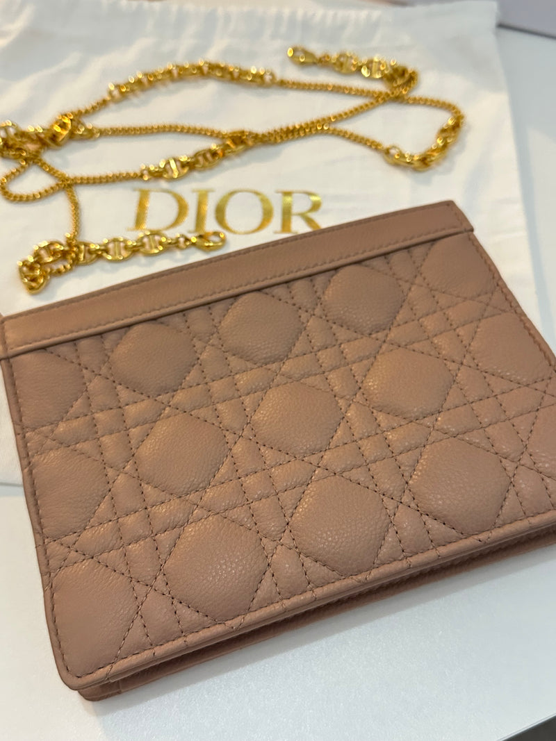 Brand New Dior Caro Every Dior Pouch On Chain