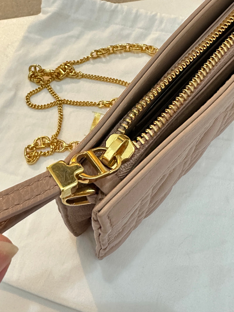 Brand New Dior Caro Every Dior Pouch On Chain