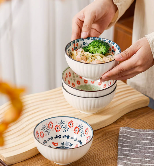 6 Ceramic Ramen Rice Soup Bowls in Japanese Style