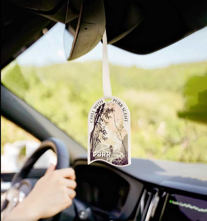 4 in a Pack Long-lasting Individually Packaged Air Freshener Car Scent